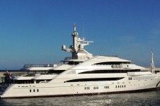 AMEVI - Profile